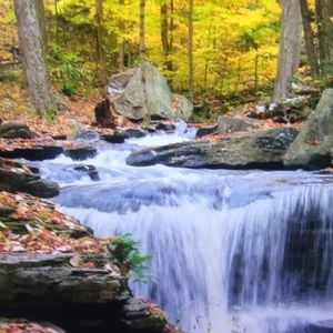 Meet your Posher, Todd